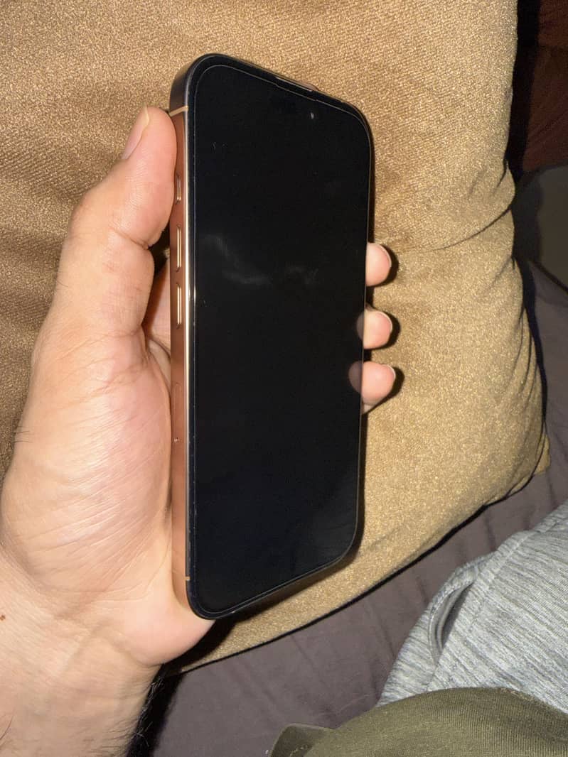 Apple iPhone 16 Pro 1