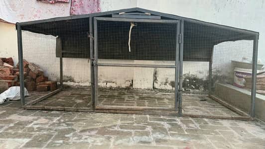 Pinjra for hens low price   Pijra for Sale – Urgent Sale – Rs. 22,000