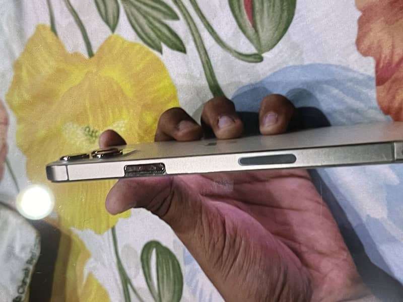Apple iPhone 12 Pro Max 2