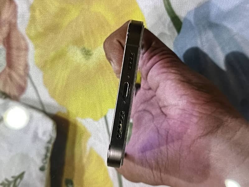 Apple iPhone 12 Pro Max 5