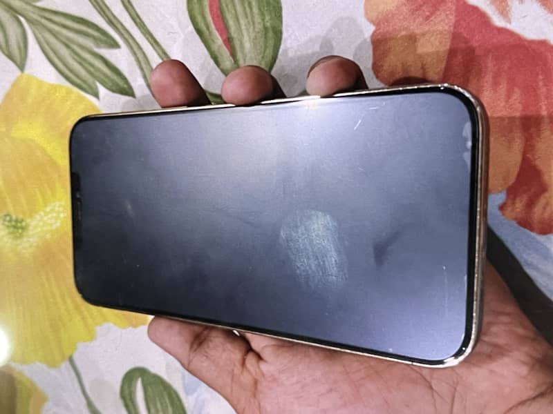 Apple iPhone 12 Pro Max 8