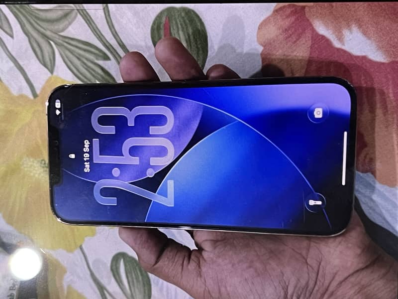 Apple iPhone 12 Pro Max 9