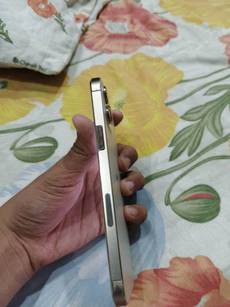 Apple iPhone 12 Pro Max 0