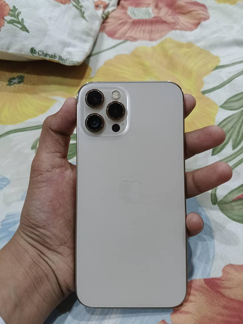 Apple iPhone 12 Pro Max 1