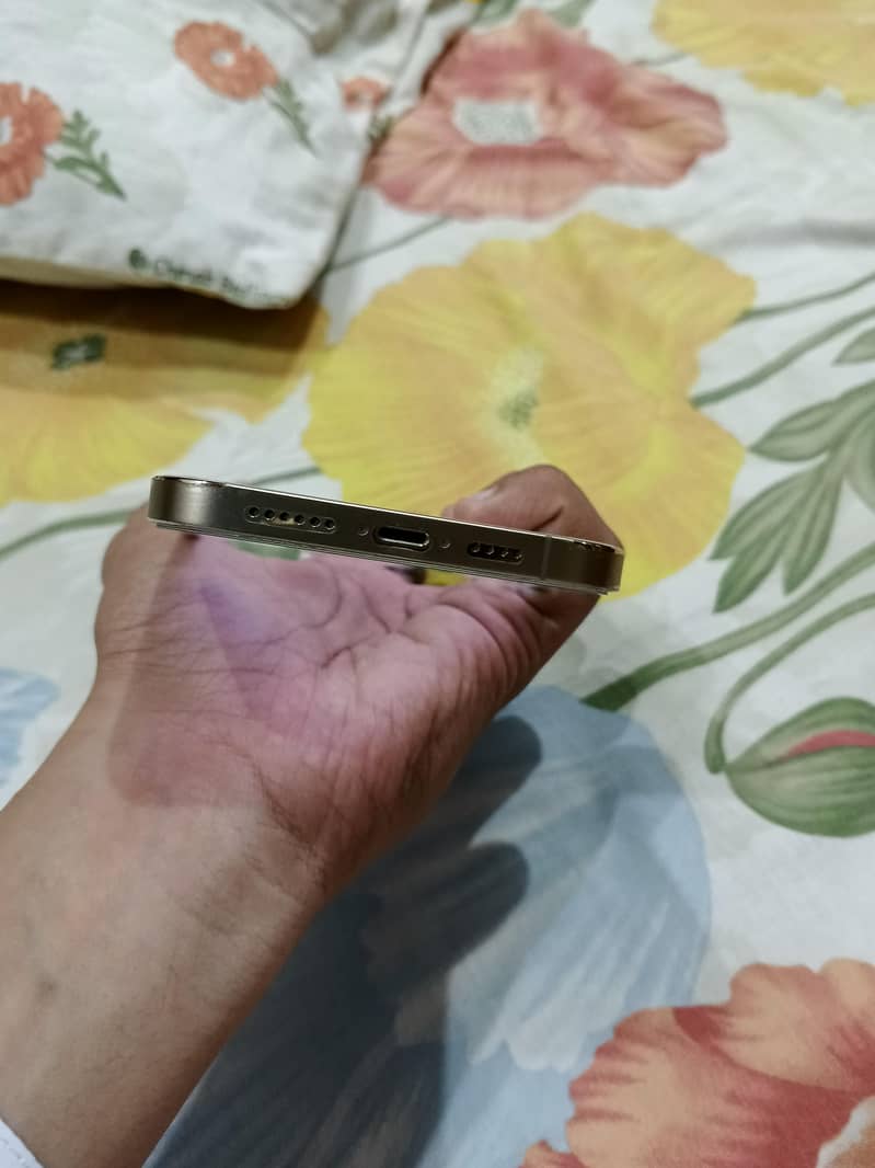 Apple iPhone 12 Pro Max 2