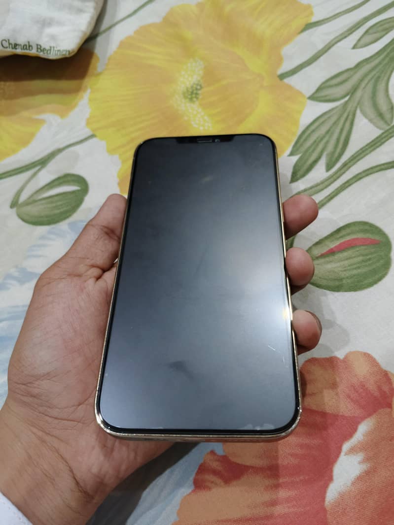 Apple iPhone 12 Pro Max 3