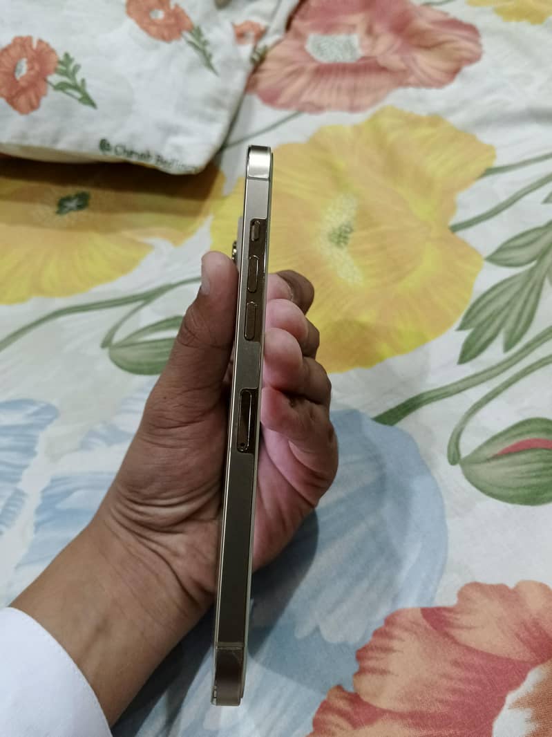Apple iPhone 12 Pro Max 4