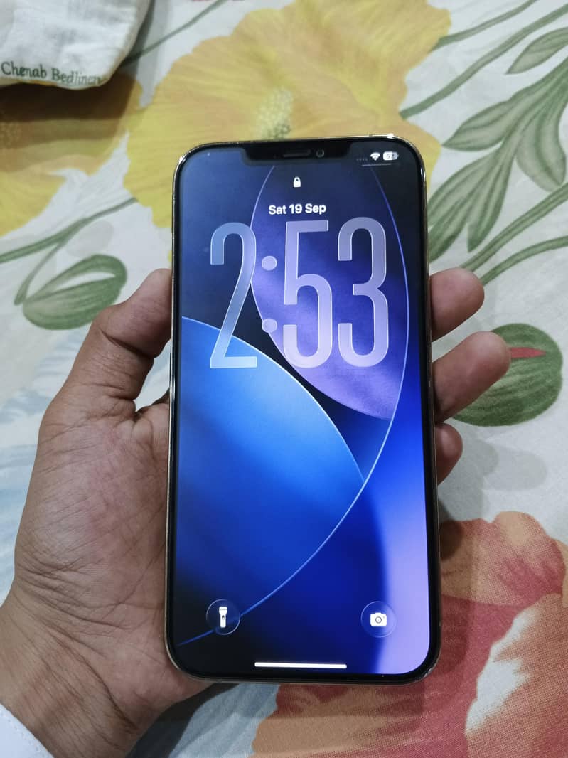 Apple iPhone 12 Pro Max 5