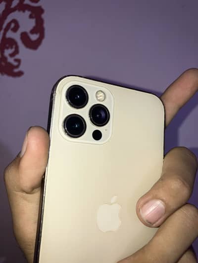 Apple iPhone 12 Pro