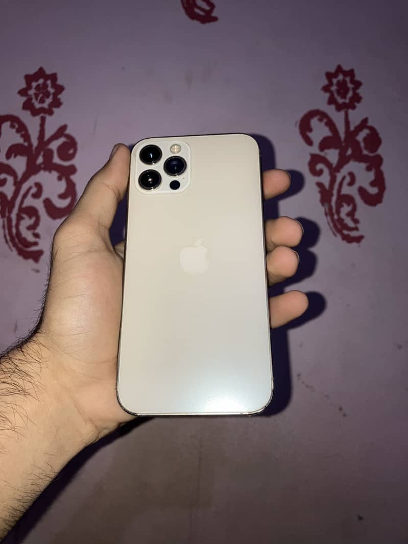 Apple iPhone 12 Pro 1