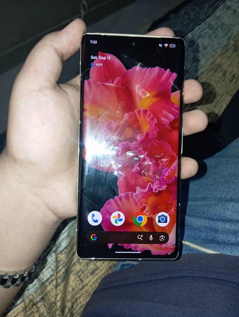 Google Pixel 6 Pro 2