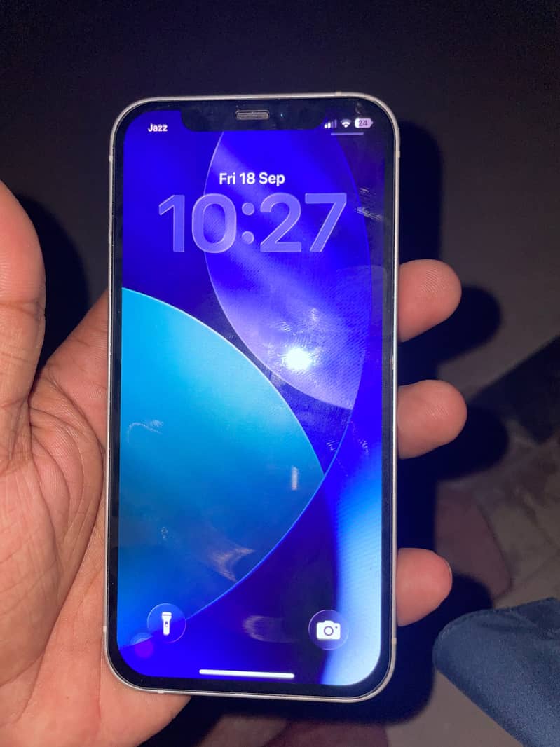 Apple iPhone 12 1