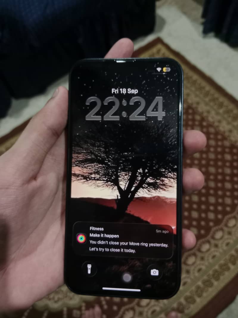 Apple iPhone 13 0