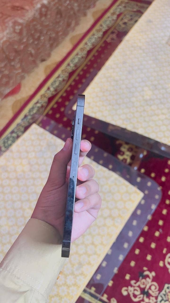 Apple iPhone 13 Pro Max 1