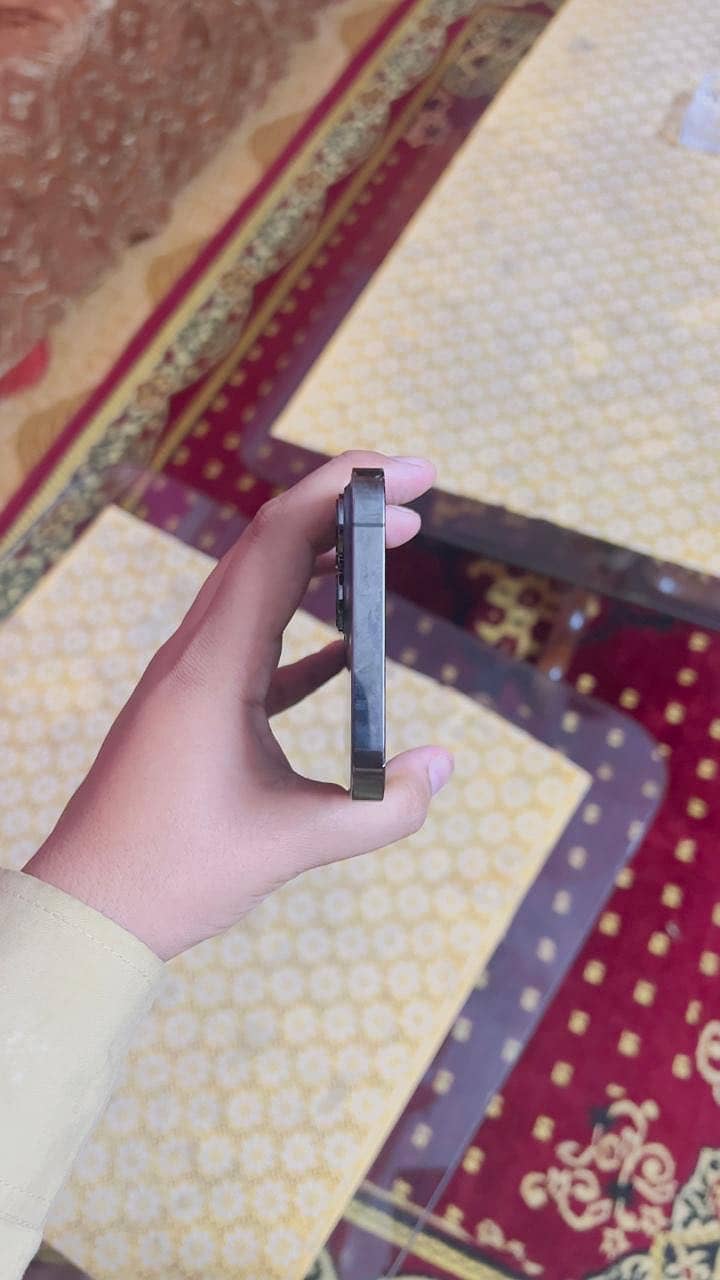 Apple iPhone 13 Pro Max 3