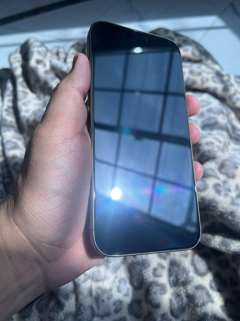 Apple iPhone 16 Pro Max 1