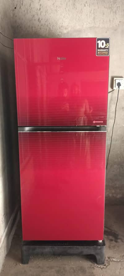Haier Medium Fridge