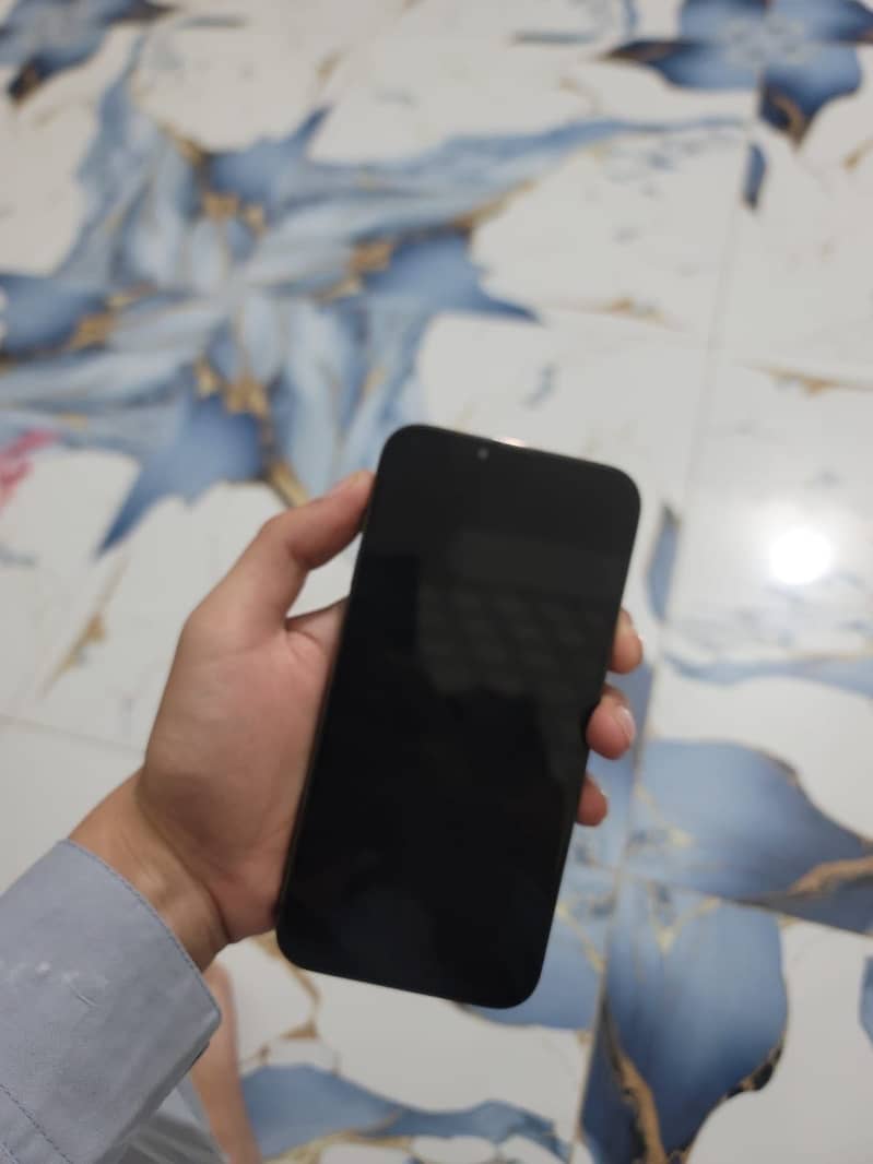 iphone 13 pro Max 2