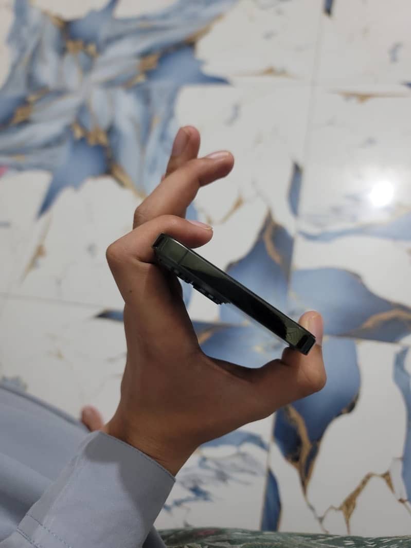 iphone 13 pro Max 3