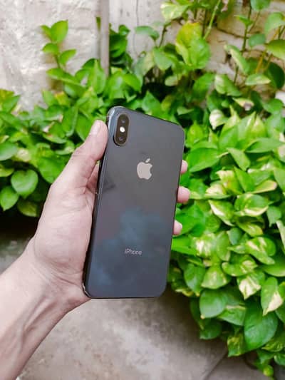 Apple iPhone X
