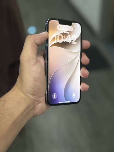 Apple iPhone 13 Pro
