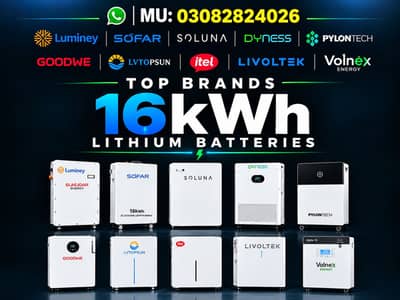Sunwoda Goodwe growat inverex itel all available