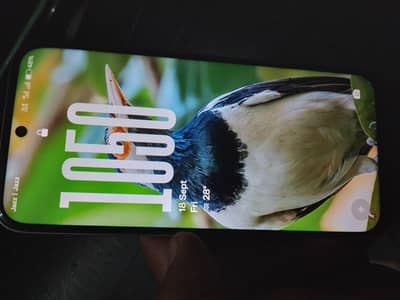 OPPO A6