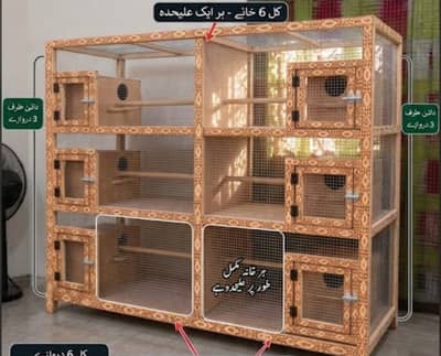 Birds cage
