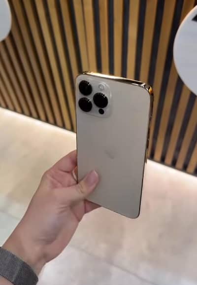 Apple iPhone 13 Pro Max