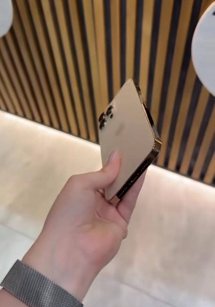 Apple iPhone 13 Pro Max 1