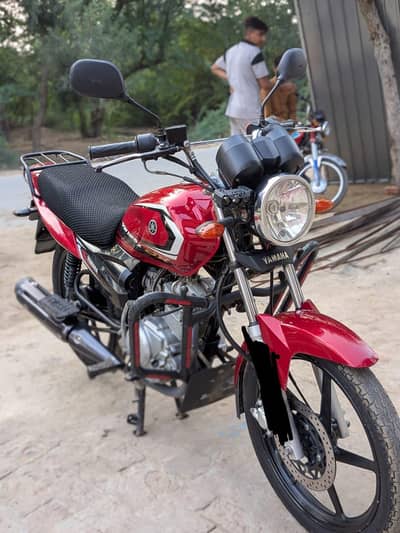 YBZ125 DX 20240 model
