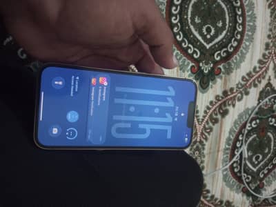 13 pro