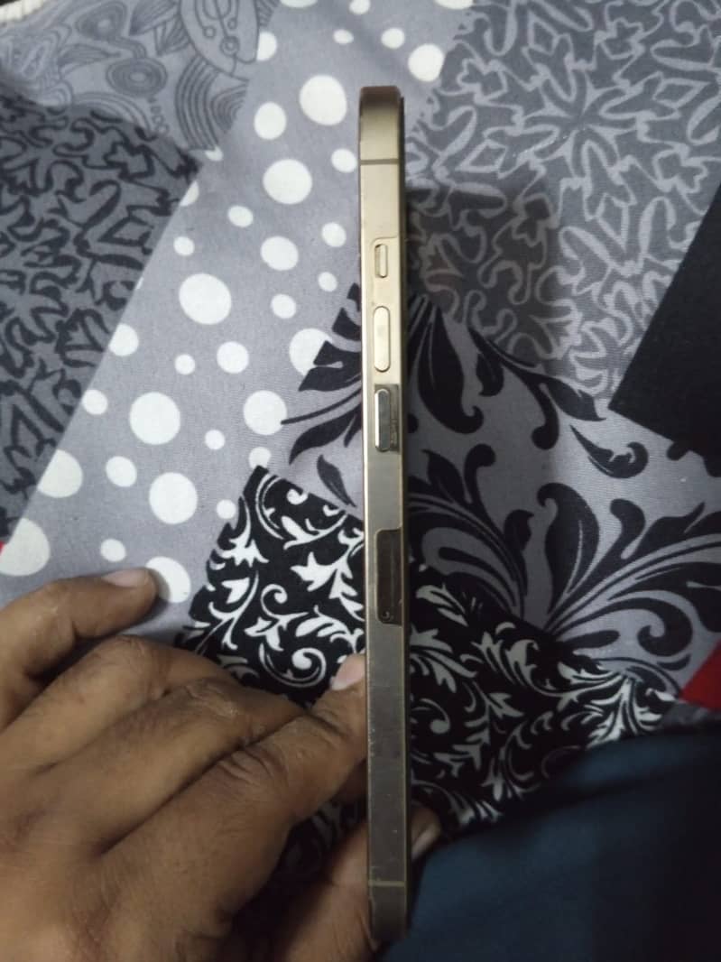 Apple iPhone 12 Pro Max 2