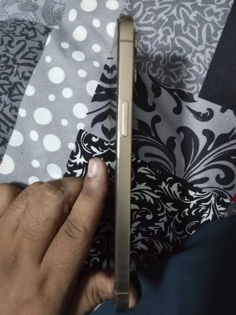 Apple iPhone 12 Pro Max 4