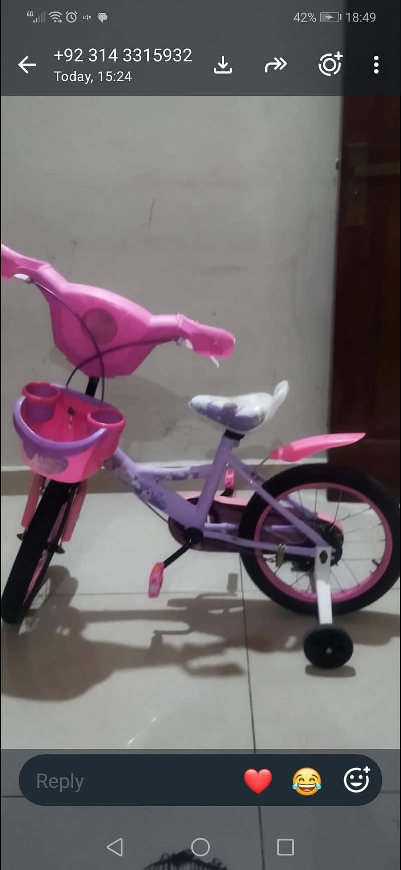barbie cycle 1