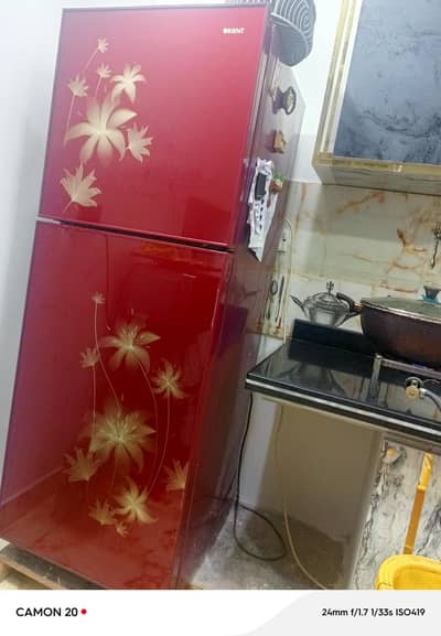 orient glass door fridge