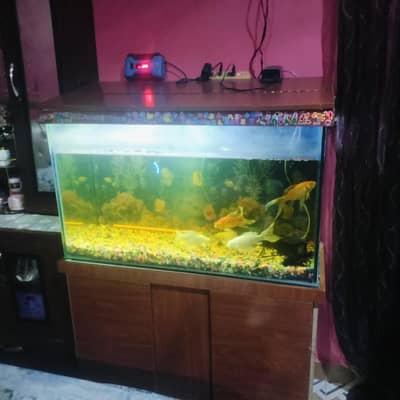 sell items