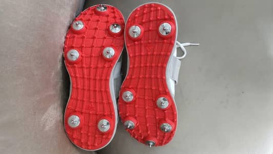 imported Adidas howzat spikes 20- size 6 (imported)
