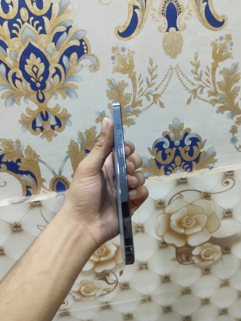 Apple iPhone 13 Pro Max 5