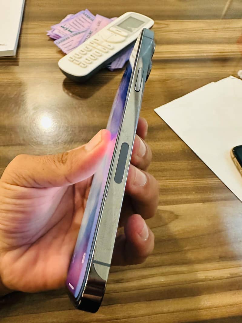 Apple iPhone 13 Pro Max 1