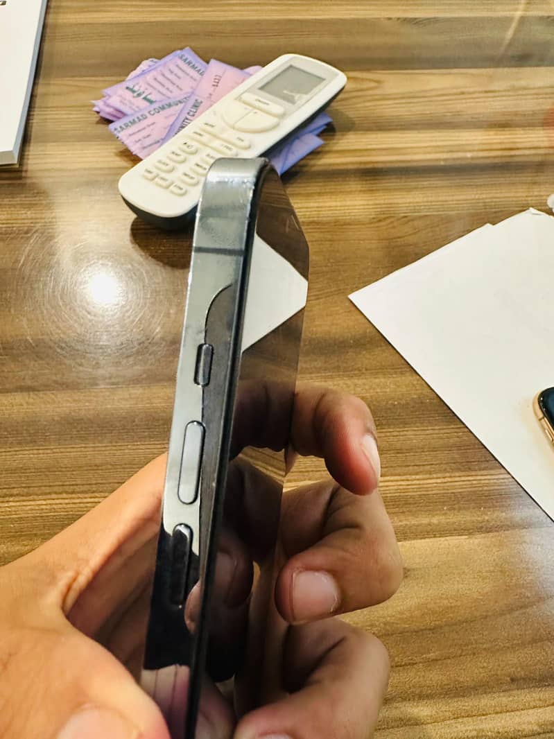 Apple iPhone 13 Pro Max 6
