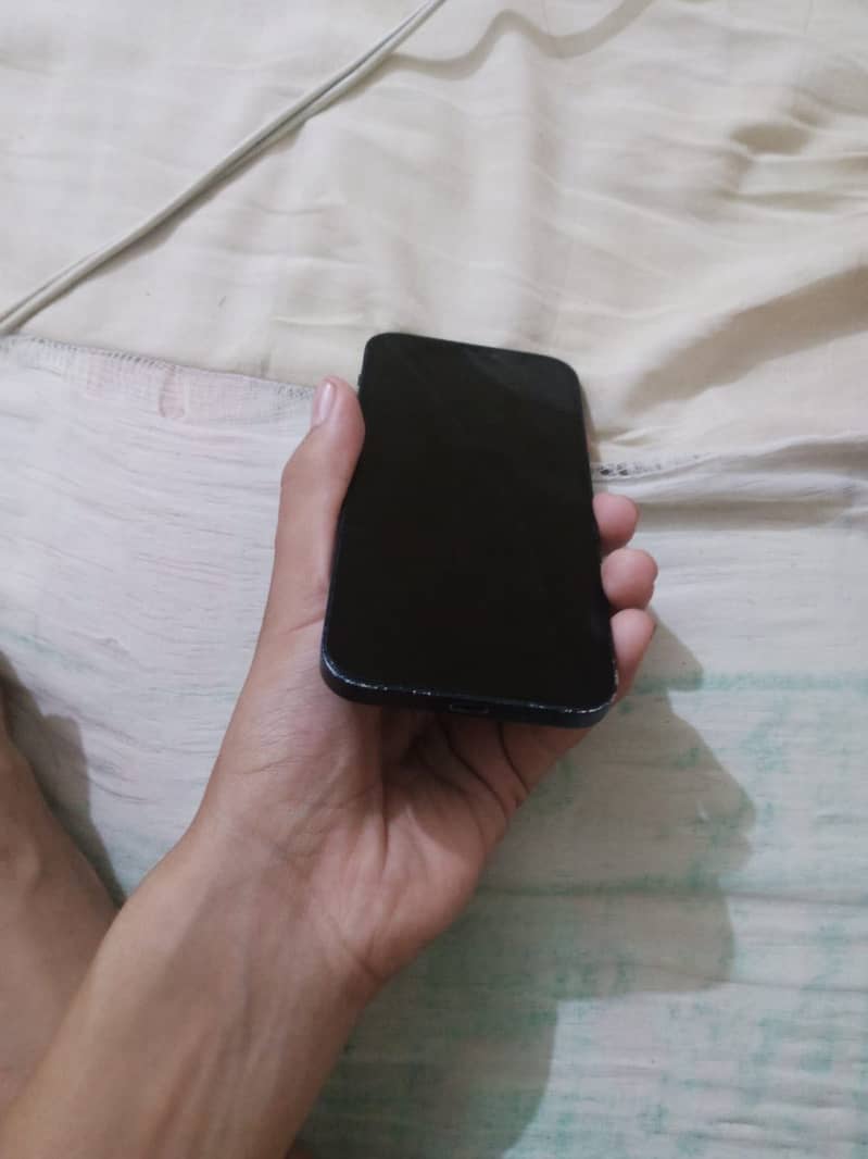 Apple iPhone 12 1
