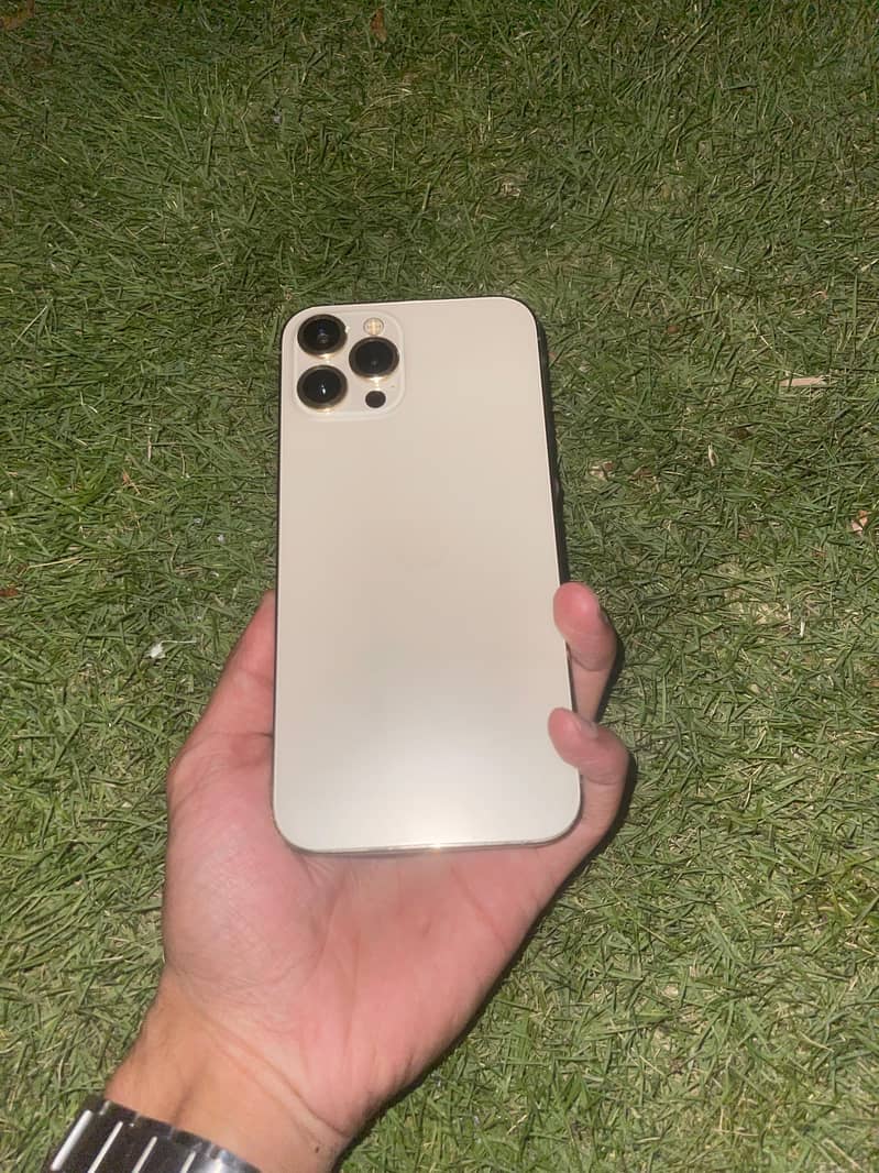 Apple iPhone 12 Pro Max 2