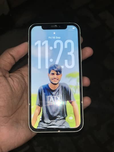Apple iPhone 12