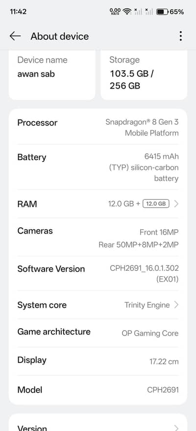 One Plus 13R