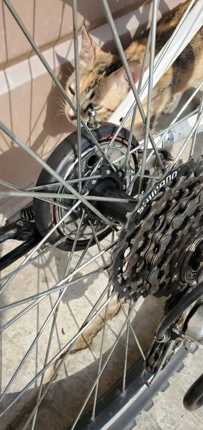 cycle