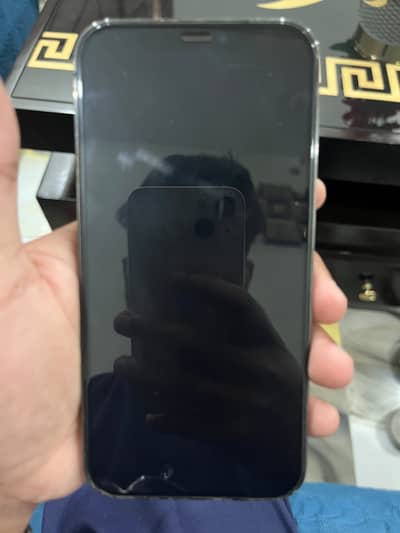 Apple iPhone 12 Pro