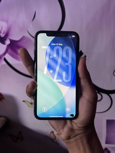 iPhone 11 pta approve