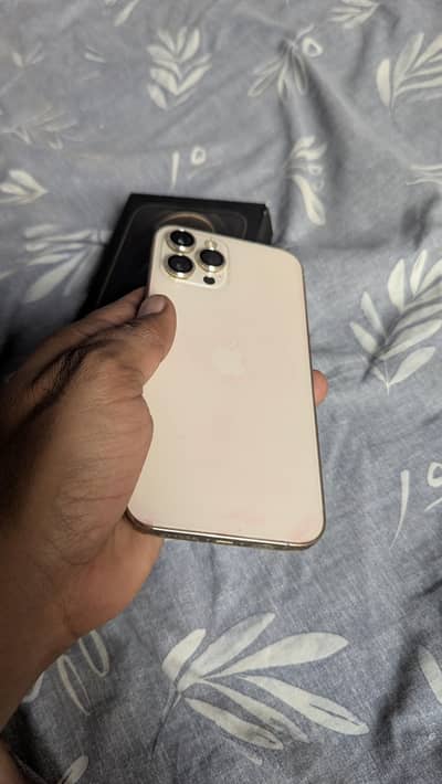 Apple iPhone 12 Pro Max
