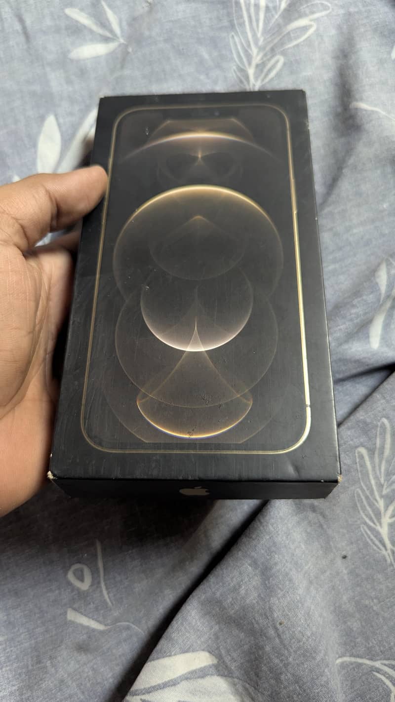 Apple iPhone 12 Pro Max 1